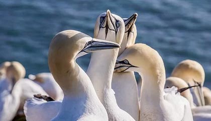 AYX官网-揭秘电竞选手职业周期与转型路径，电竞职业选手有前途吗