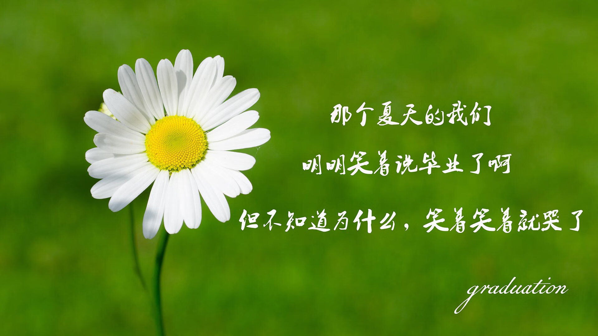 WRC地中海赛：风景如画但赛道艰难险阻，地中海俱乐部百科