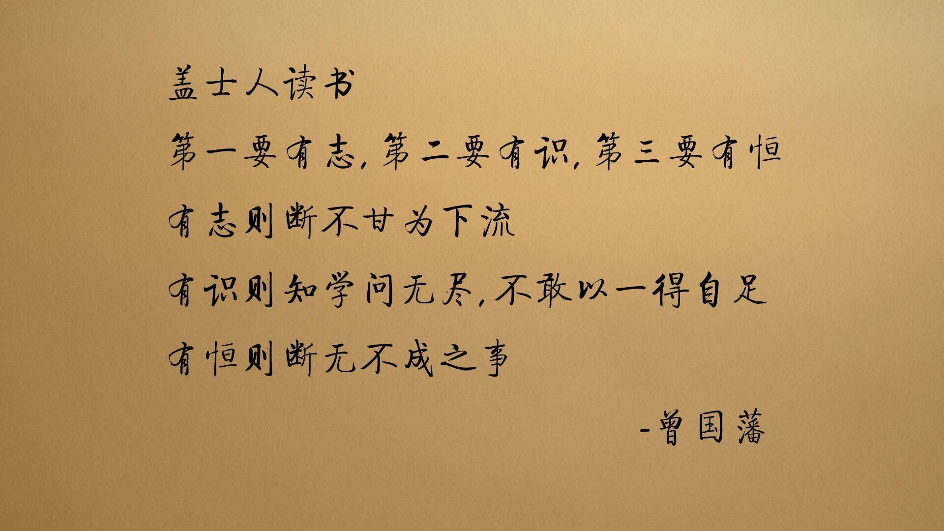 全球车迷盛典：WRC粉丝文化巡礼与狂欢派对，车迷大会