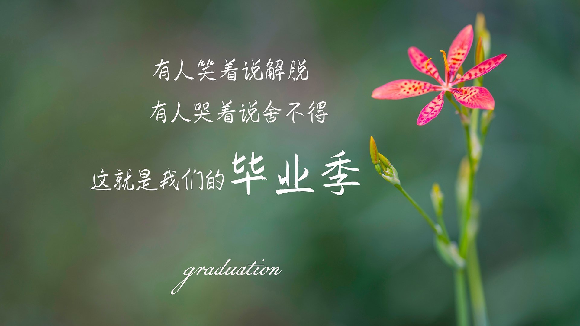 东南亚盃：各队志在夺魁为国争光，东南亚锦标赛足球