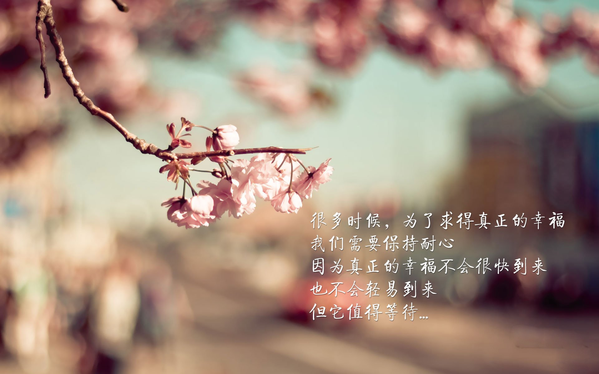 最热：布拉格斯拉维亚神勇晋级，欧冠半决赛！，布拉格 欧洲