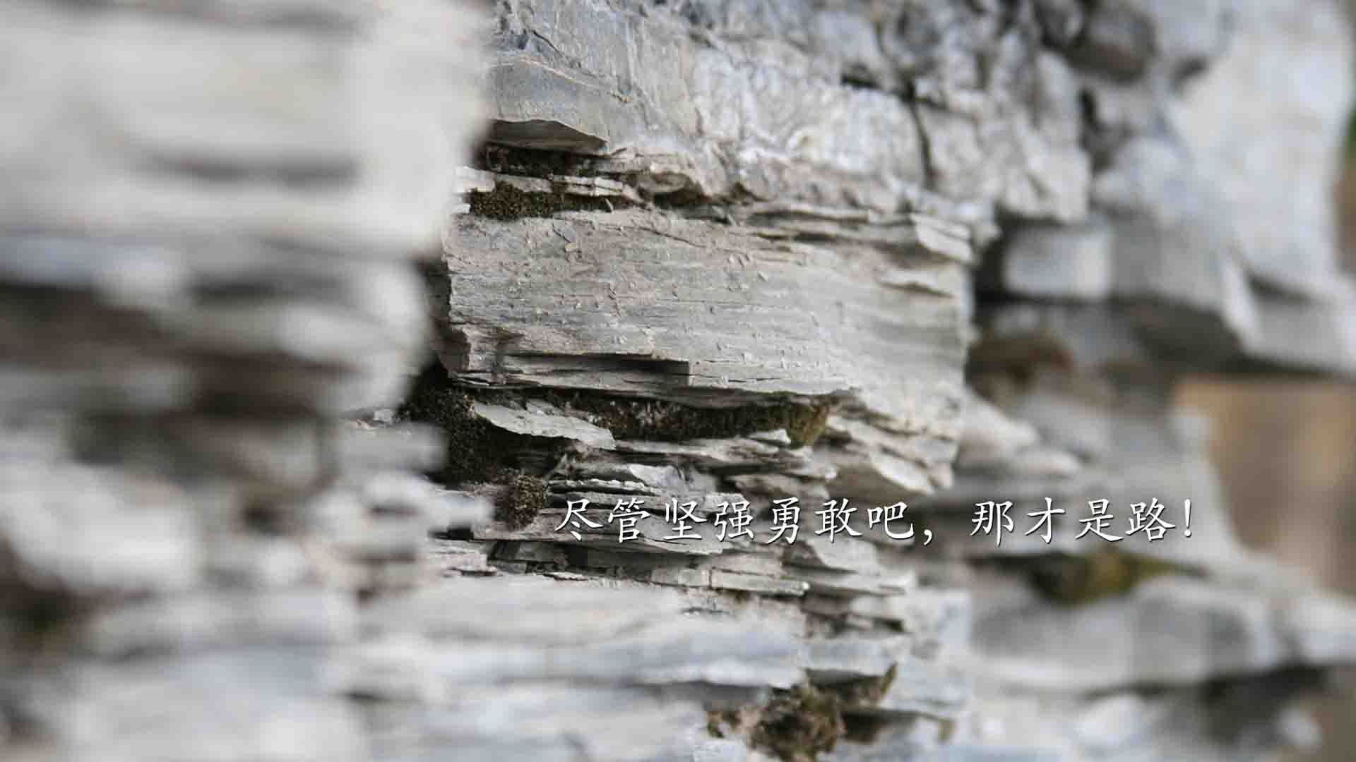 皇马主场连胜被终结，球迷高呼失误必须改进，皇马22连胜被谁终结