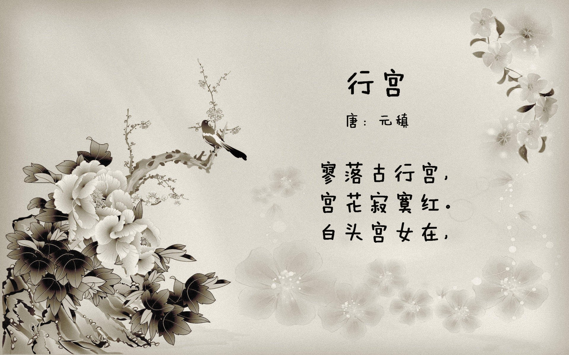 雄鹿大胜森林狼，安特托昆博全能表现坐镇亚军位置，安特托昆博选秀