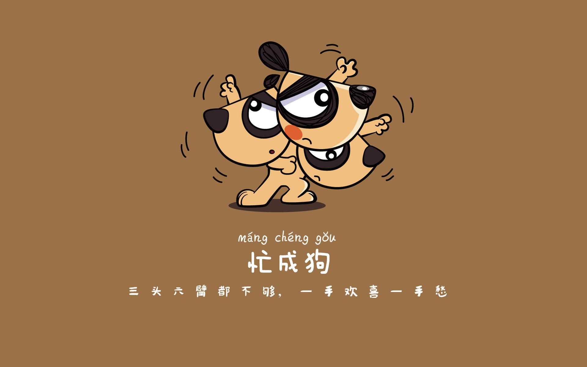 波兰队赛制解析：如何在混合团体赛中平衡个人与团队表现，波兰队比赛