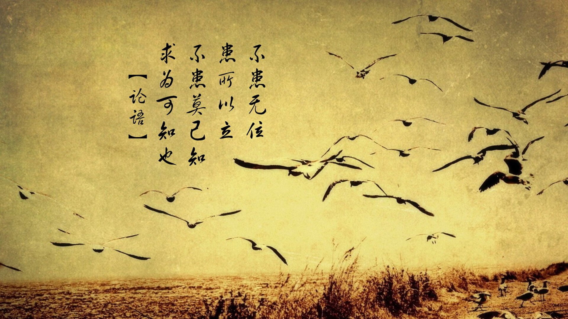 瑞安的球场视野和决策力，令全黑队攻防更具深度，瑞安十八家球场